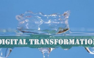 The Opportunity gap of the Digital Transformation