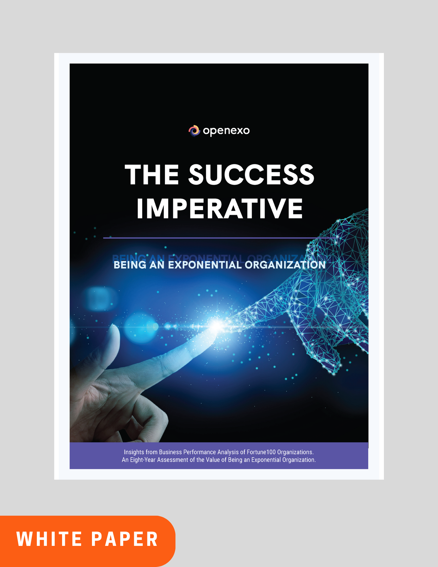 Fortune 100: The success Imperative report