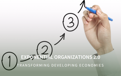 Exponential Organizations 2.0: Transforming Developing Economies